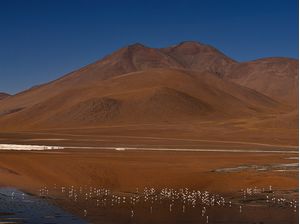 LAGUNA COLORADA BOLIVIA