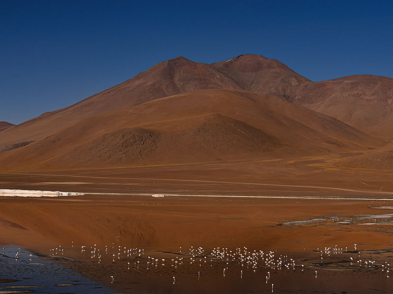 LAGUNA COLORADA BOLIVIA