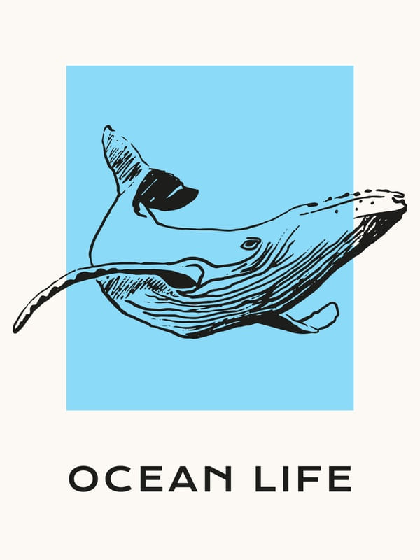 OCEAN LIFE BALEIA
