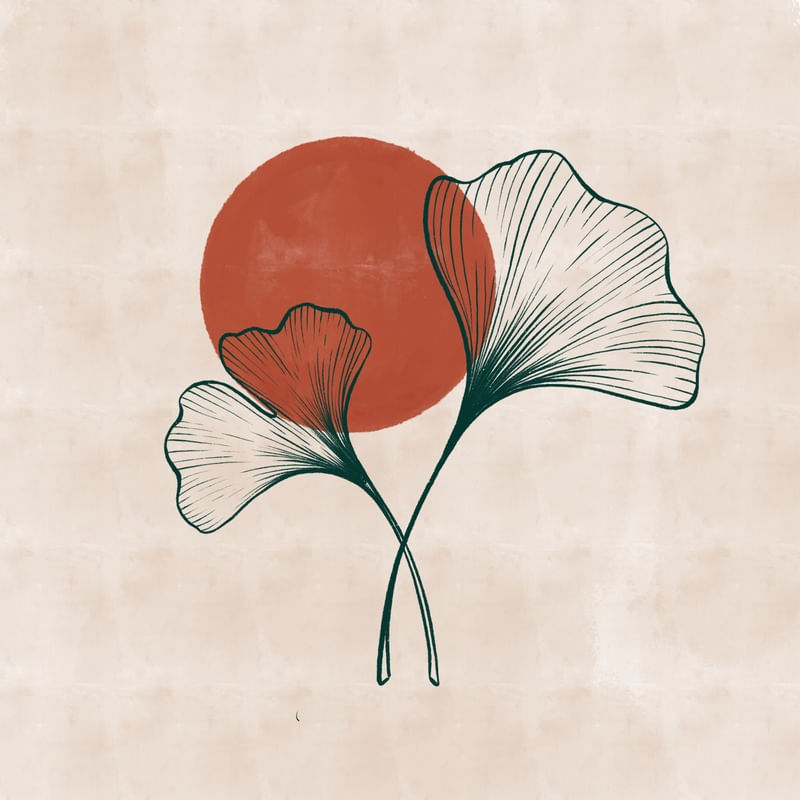 GINKGO BILOBA