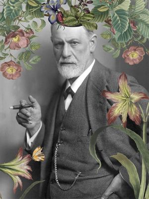 FREUD COLAGEM