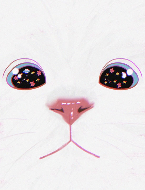 CAT CLOSE-UP