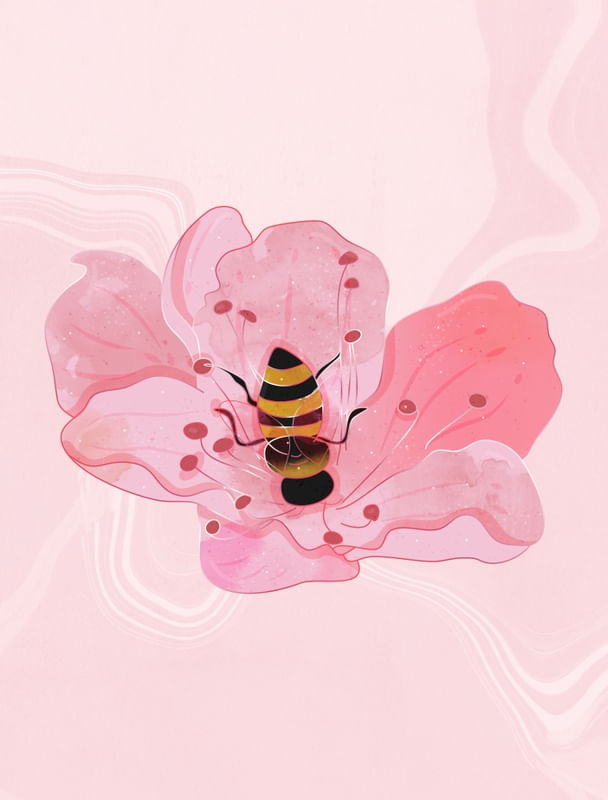 ABELHA EM FLOR DE CEREJEIRA