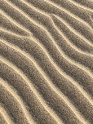 DUNAS 1 - SUMMER STUDIO