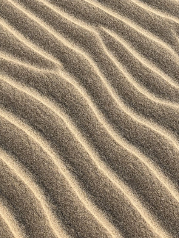 DUNAS 1 - SUMMER STUDIO