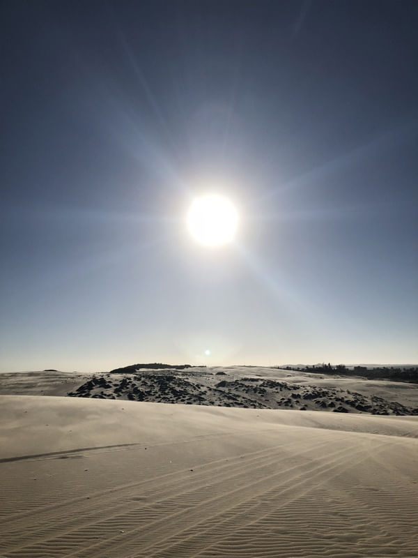 DESERTO - SUMMER STUDIO