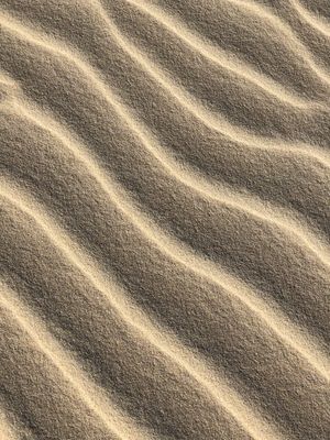 DUNAS 2 - SUMMER STUDIO