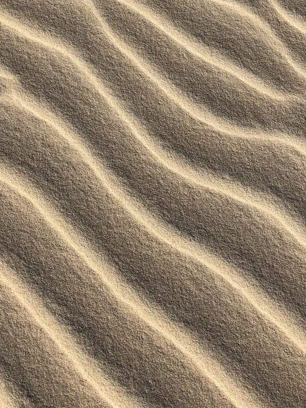 DUNAS 2 - SUMMER STUDIO