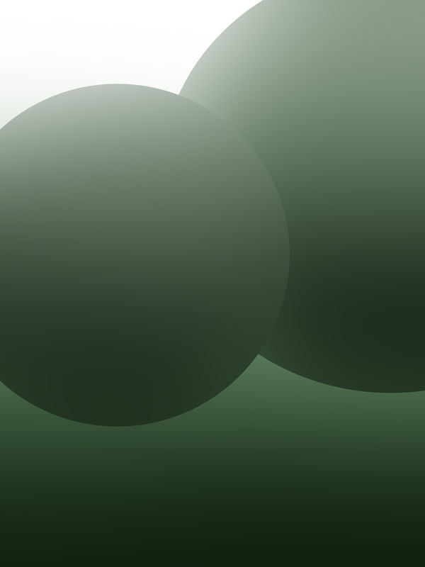 CIRCULOS DS 01