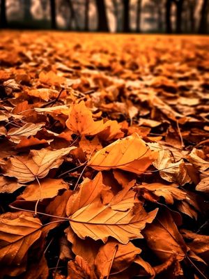 FOLHAS DE OUTONO BY AI