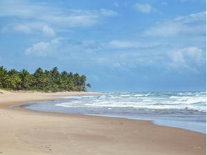 ONDAS EM PRAIA DESERTA DO NORDESTE COM COQUEIROS