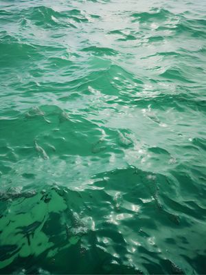 WATER BY AI