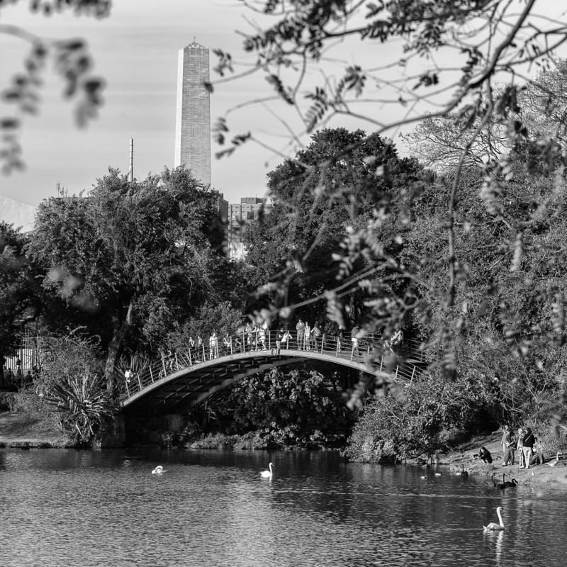 PARQUE DO IBIRAPUERA III - SÃO PAULO