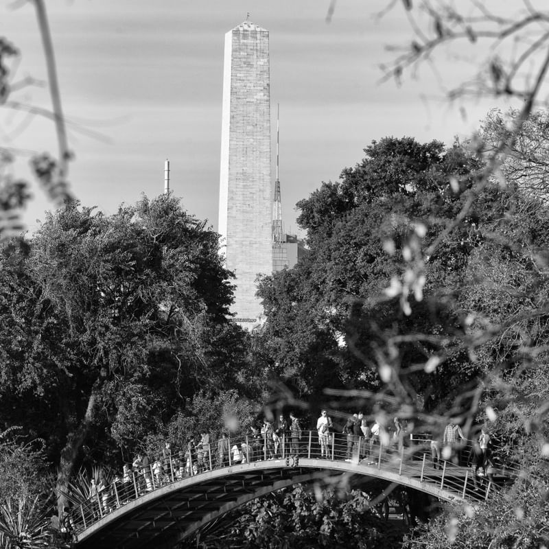 PARQUE DO IBIRAPUERA IV - SÃO PAULO
