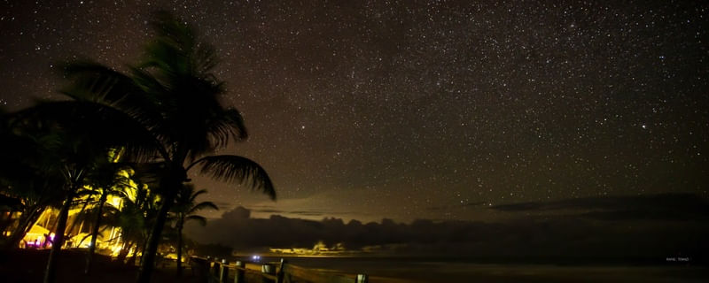 COQUEIROS E CÉU ESTRELADO - PANORAMA