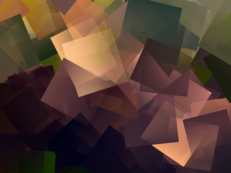 PIECES OF THE FOREST