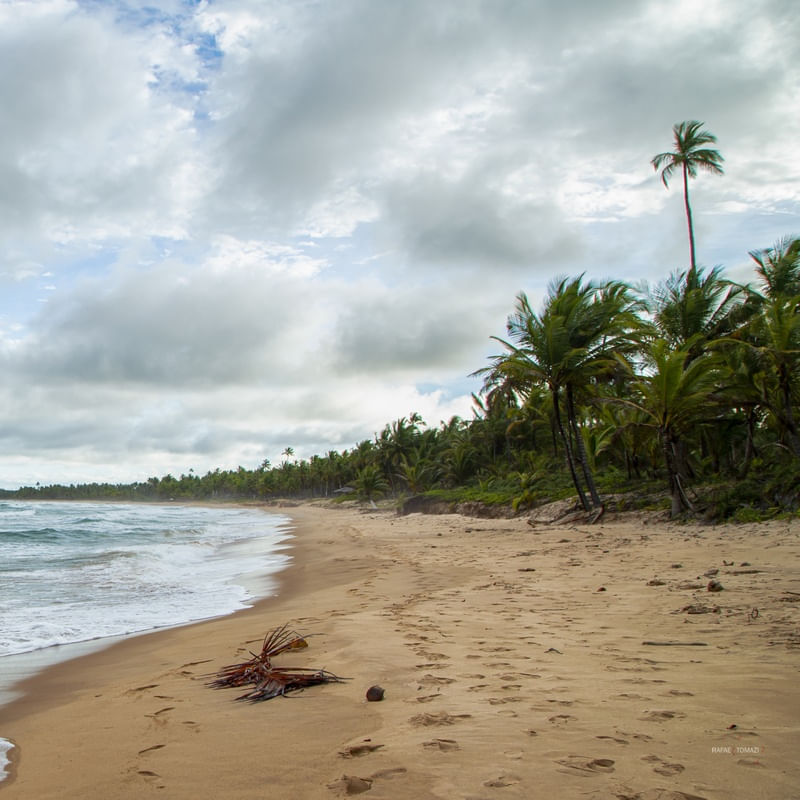 PANORÂMICA EM PRAIA DE TAIPU DE FORA - SEQUENCIAL 02 DE 02