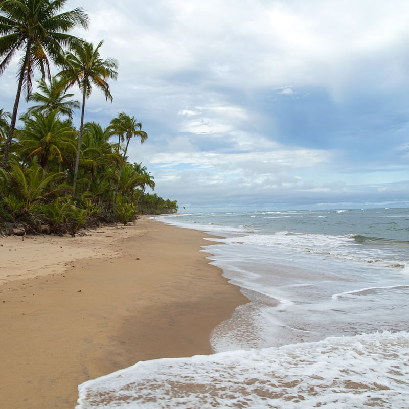 PRAIA QUASE DESERTA EM TAIPU DE FORA - QUADRADA