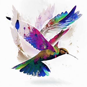 BEIJA-FLOR PINTURA PC