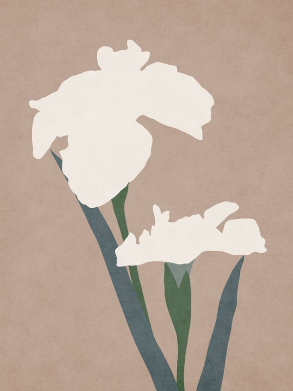 MINIMALIST FLOWERS - TN01