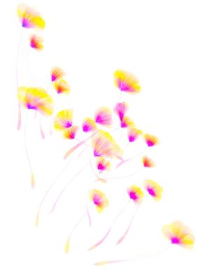 FLORES AQUARELA 001