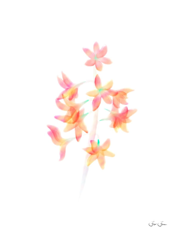 FLORES AQUARELA ARTE 005