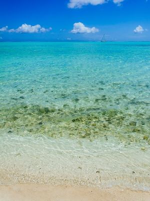 ILHA DE BORA BORA