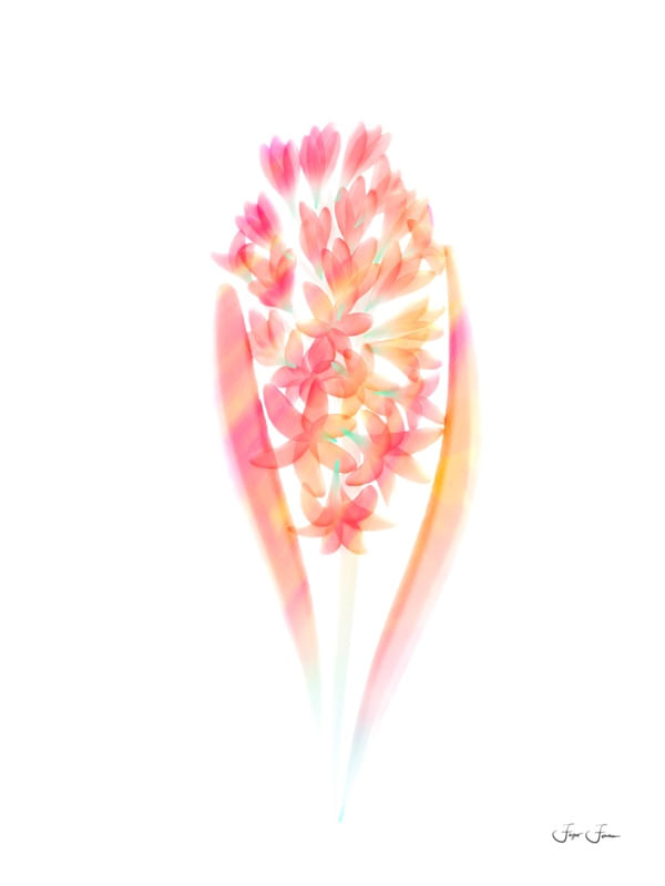 FLORES AQUARELA ARTE 006