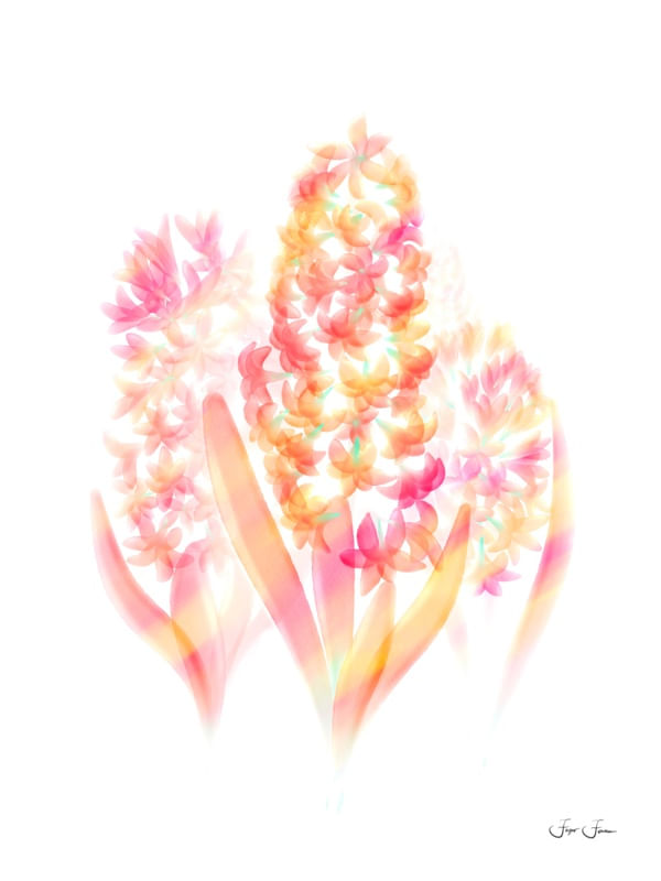 FLORES AQUARELA ARTE 007