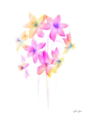 BUQUÊ AQUARELA ARTE 010