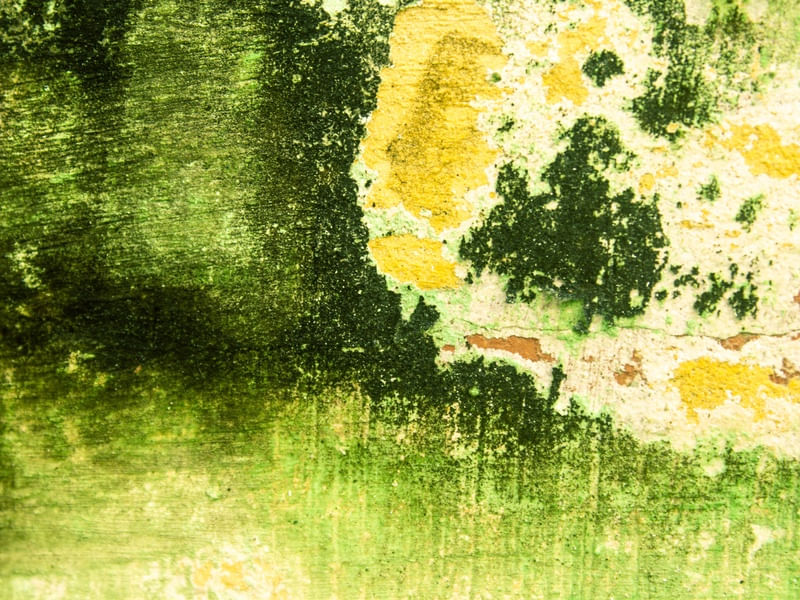 VERDE EQUALIZADO 2