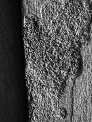 DETALHES NA PAREDE