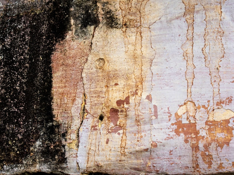 TEXTURA ARTE