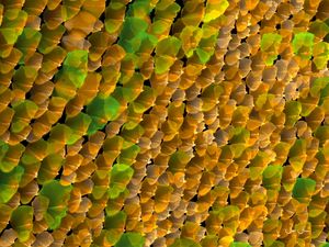 PINTURA ABSTRATA 31