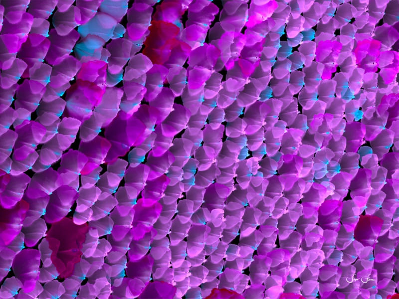 PINTURA ABSTRATA 33