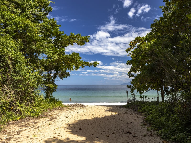 CAMINHO PARA PRAIA