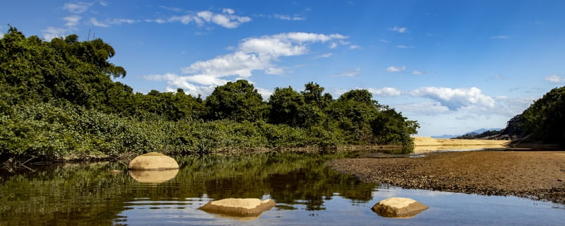 RIO PARANAIOCA LANDSCAPE