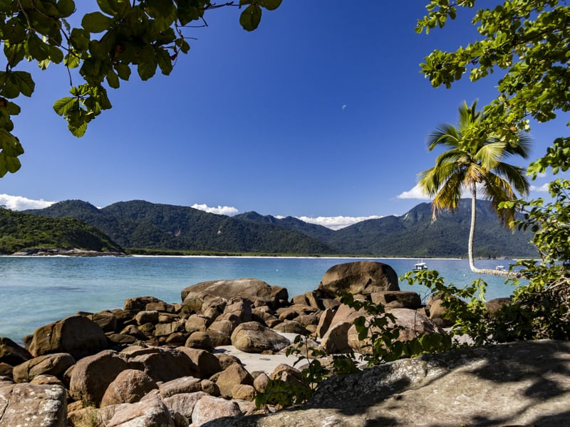 AVEITUREIRO - ILHA GRANDE