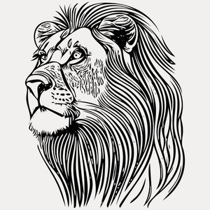 O REI DA SELVA OBSERVADO
