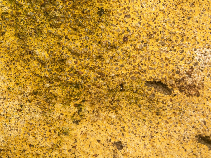 AMARELO MODIFICADO