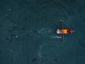 PESCA DE ARRASTO NO MAR 3
