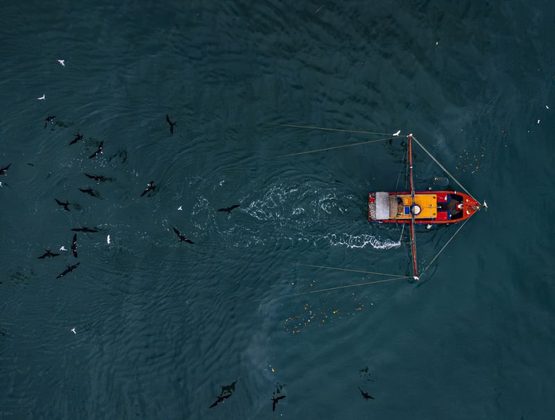 PESCA DE ARRASTO NO MAR 3
