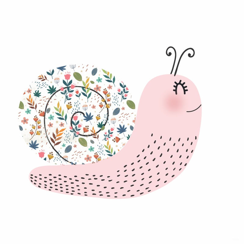 CARACOL FLORESCER
