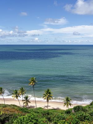 PRAIA DE COQUEIRINHO - PARAÍBA - NORDESTE - 06