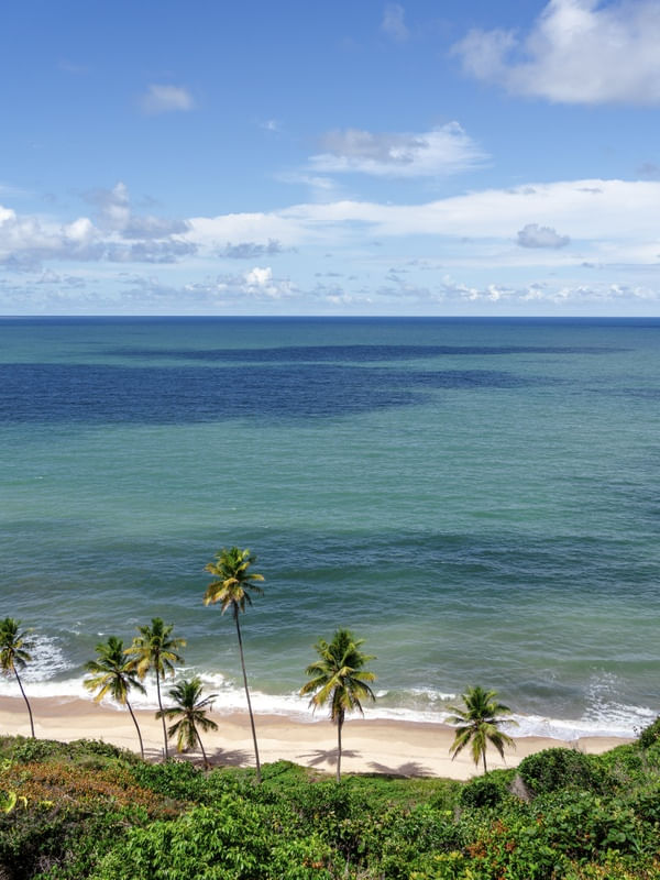 PRAIA DE COQUEIRINHO - PARAÍBA - NORDESTE - 06