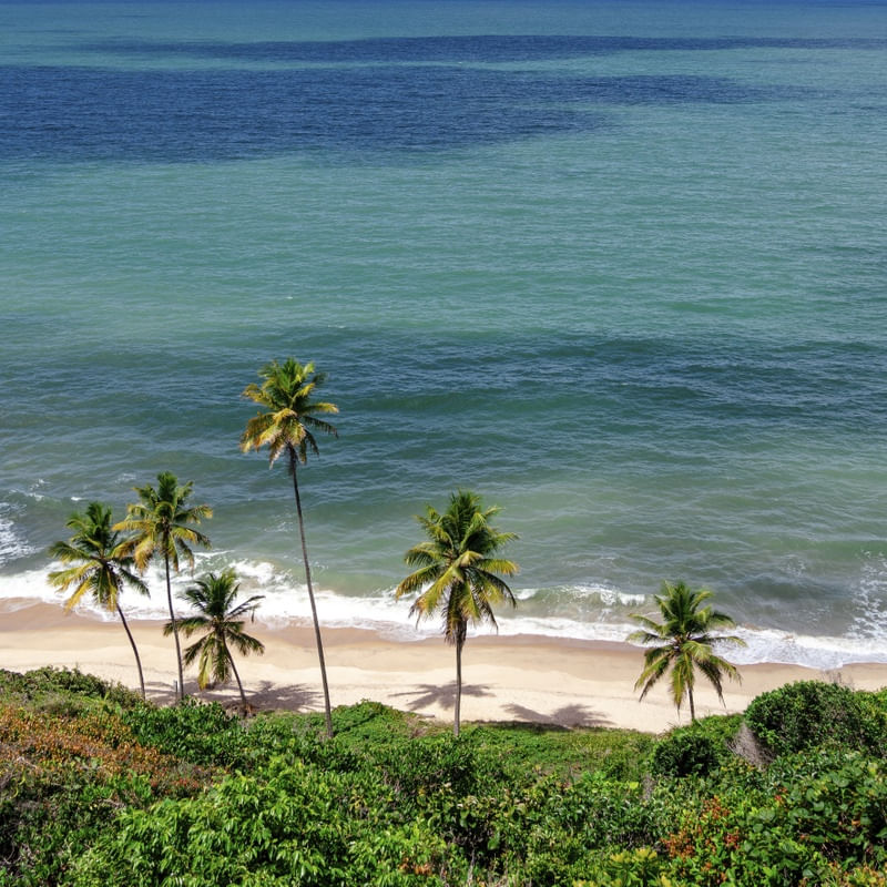 PRAIA DE COQUEIRINHO - PARAÍBA - NORDESTE - 11