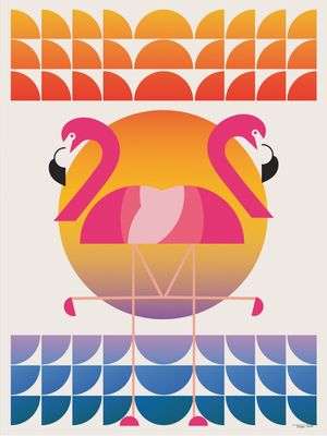 SOL E FLAMINGOS