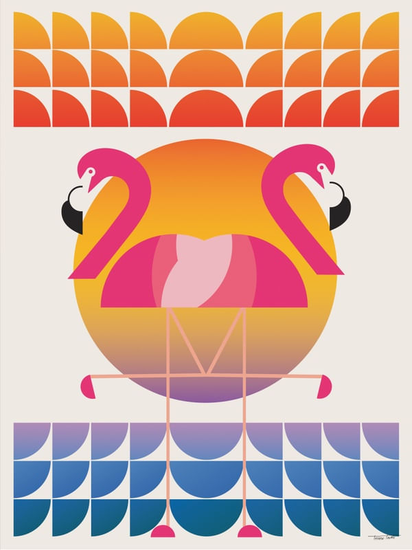 SOL E FLAMINGOS
