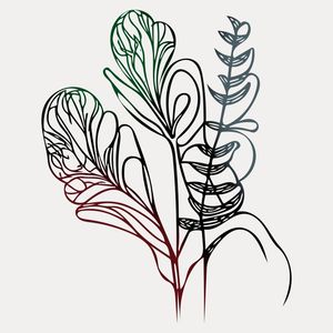 LINE ART - FORMAS BOTANICAS 02