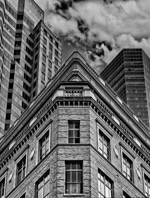 CONCRETE SERENITY NY - RETRATO